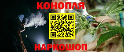шишки Новокубанск