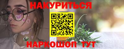 шишки Новокубанск