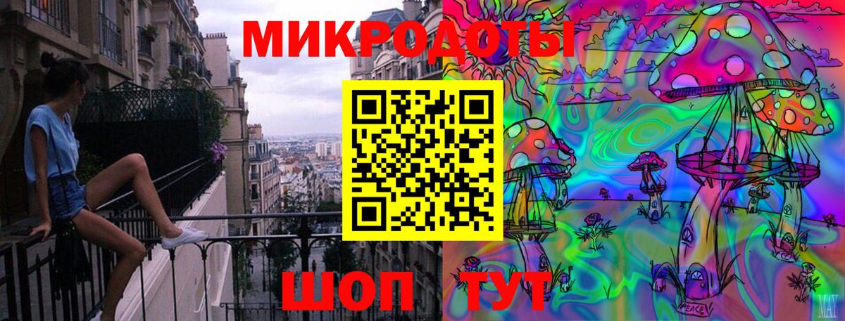 Галлюциногенные грибы Psilocybine cubensis Спасск-Дальний